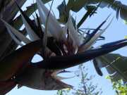 37_Sicile-17
