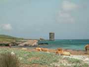 CAP_CORSE_10_Juin-10