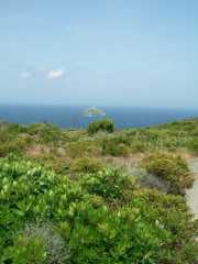 CAP_CORSE_10_Juin-23
