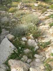 CAP_CORSE_10_Juin-42