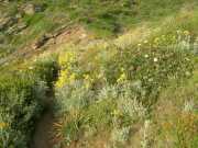CAP_CORSE_10_Juin-43