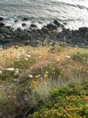 CAP_CORSE_10_Juin-56