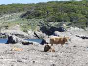 CAP_CORSE_16_Mai-124