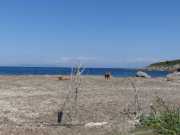 CAP_CORSE_16_Mai-125