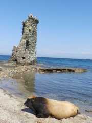 CAP_CORSE_16_Mai-130