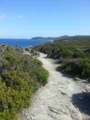 CAP_CORSE_16_Mai-135