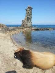 CAP_CORSE_16_Mai-139