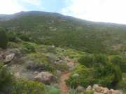 CAP_CORSE_16_Mai-68