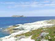 CAP_CORSE_16_Mai-84