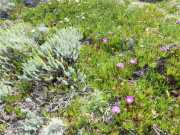 CAP_CORSE_16_Mai-86