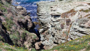 Cap_Corse_24_04-104