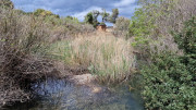 Cap_Corse_24_04-111