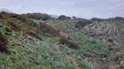 Cap_Corse_24_04-122