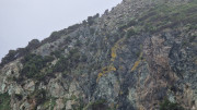 Cap_Corse_24_04-131