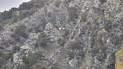 Cap_Corse_24_04-132