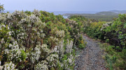 Cap_Corse_24_04-139