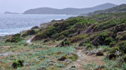 Cap_Corse_24_04-145