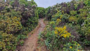 Cap_Corse_24_04-146