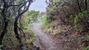 Cap_Corse_24_04-147