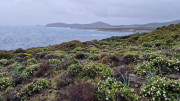 Cap_Corse_24_04-148