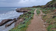 Cap_Corse_24_04-154