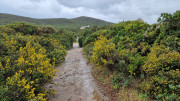 Cap_Corse_24_04-160