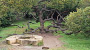 Cap_Corse_24_04-166