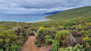 Cap_Corse_24_04-171