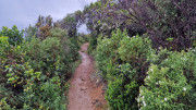 Cap_Corse_24_04-173