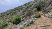 Cap_Corse_24_04-178