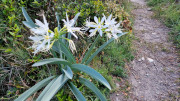 Cap_Corse_24_04-26