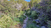 Cap_Corse_24_04-32