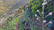 Cap_Corse_24_04-39