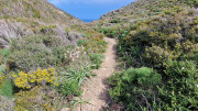 Cap_Corse_24_04-49