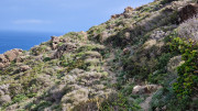 Cap_Corse_24_04-50