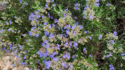 Cap_Corse_24_04-53