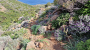 Cap_Corse_24_04-56