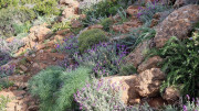 Cap_Corse_24_04-57