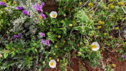 Cap_Corse_24_04-58