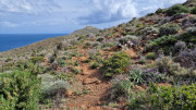 Cap_Corse_24_04-59