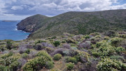 Cap_Corse_24_04-68