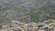 Cap_Corse_24_04-69
