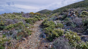 Cap_Corse_24_04-74