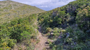 Cap_Corse_24_04-77