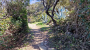 Cap_Corse_24_04-90