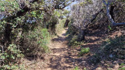 Cap_Corse_24_04-92