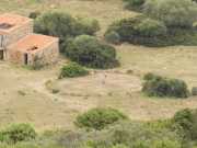 CAPO_ROSSO_16_Mai-14