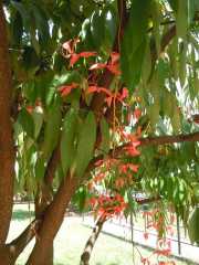 DSCN3528