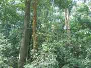 DSCN3532