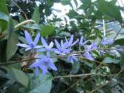 DSCN3539